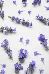 Beautiful aromatic lavender flowers on white background, flat lay