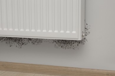 Mold around panel radiator on wall in room