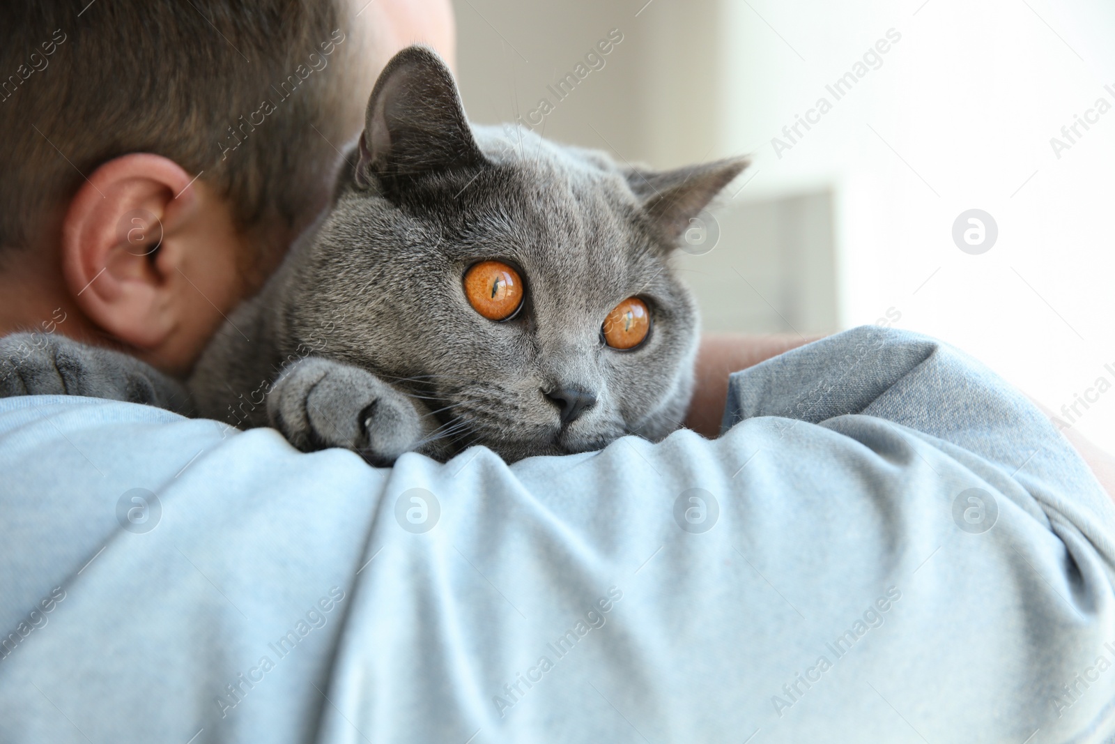 Photo of Man with cute cat on blurred background, closeup