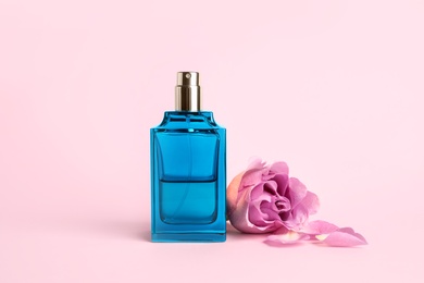 Photo of Bottle of perfume and beautiful rose on pink background