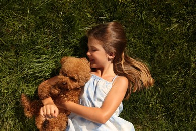 Photo of Beautiful girl with cute Maltipoo dog on green lawn outdoors, top view