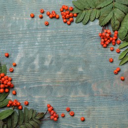 Frame of fresh ripe rowan berries and green leaves on light blue wooden table, flat lay. Space for text