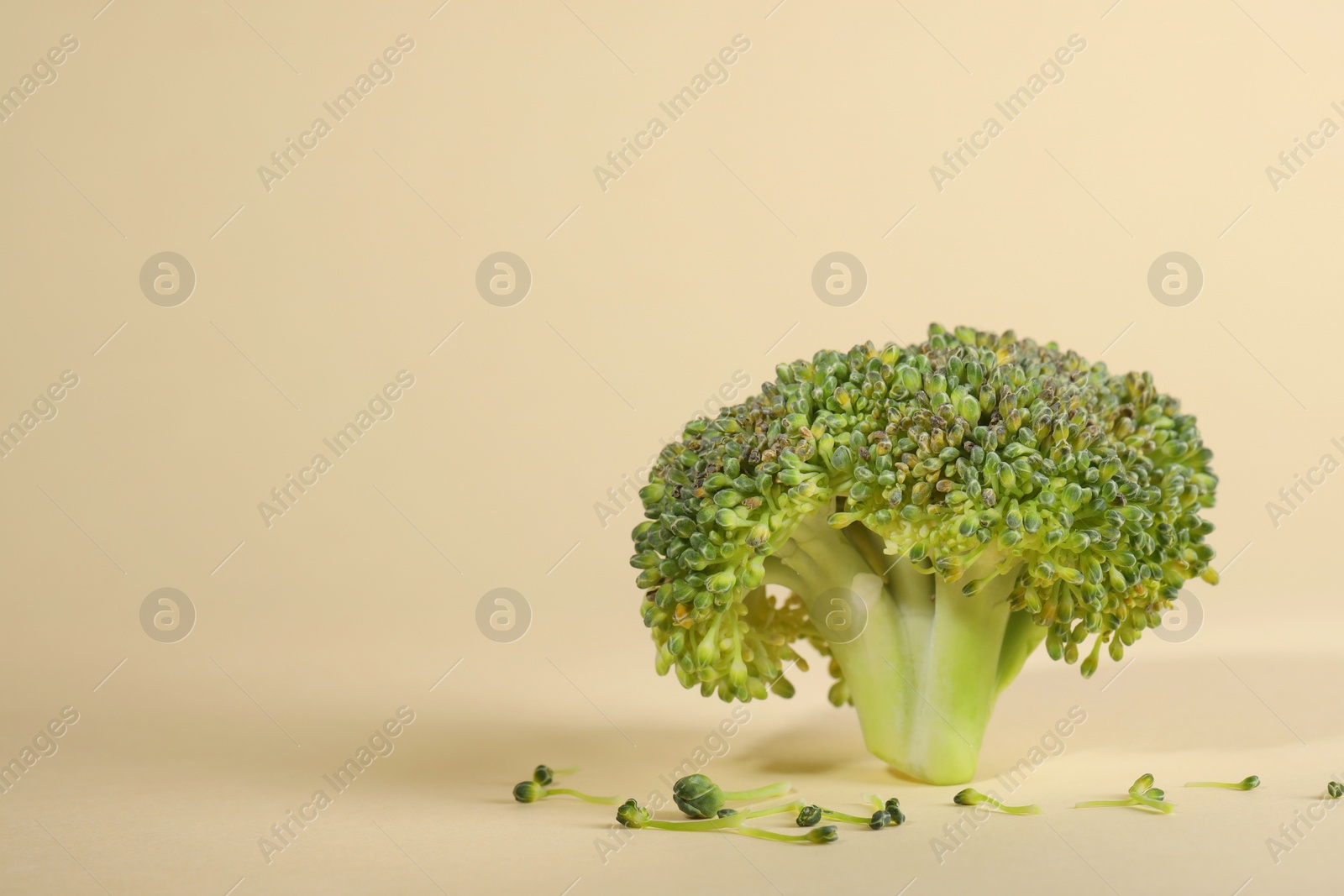 Photo of Fresh raw broccoli on beige background, space for text