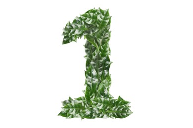 Image of Number 1 made of fresh green leaves on white background