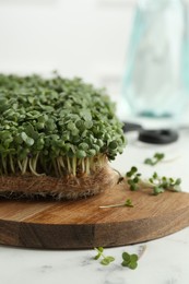 Fresh daikon radish microgreen on white marble table, closeup