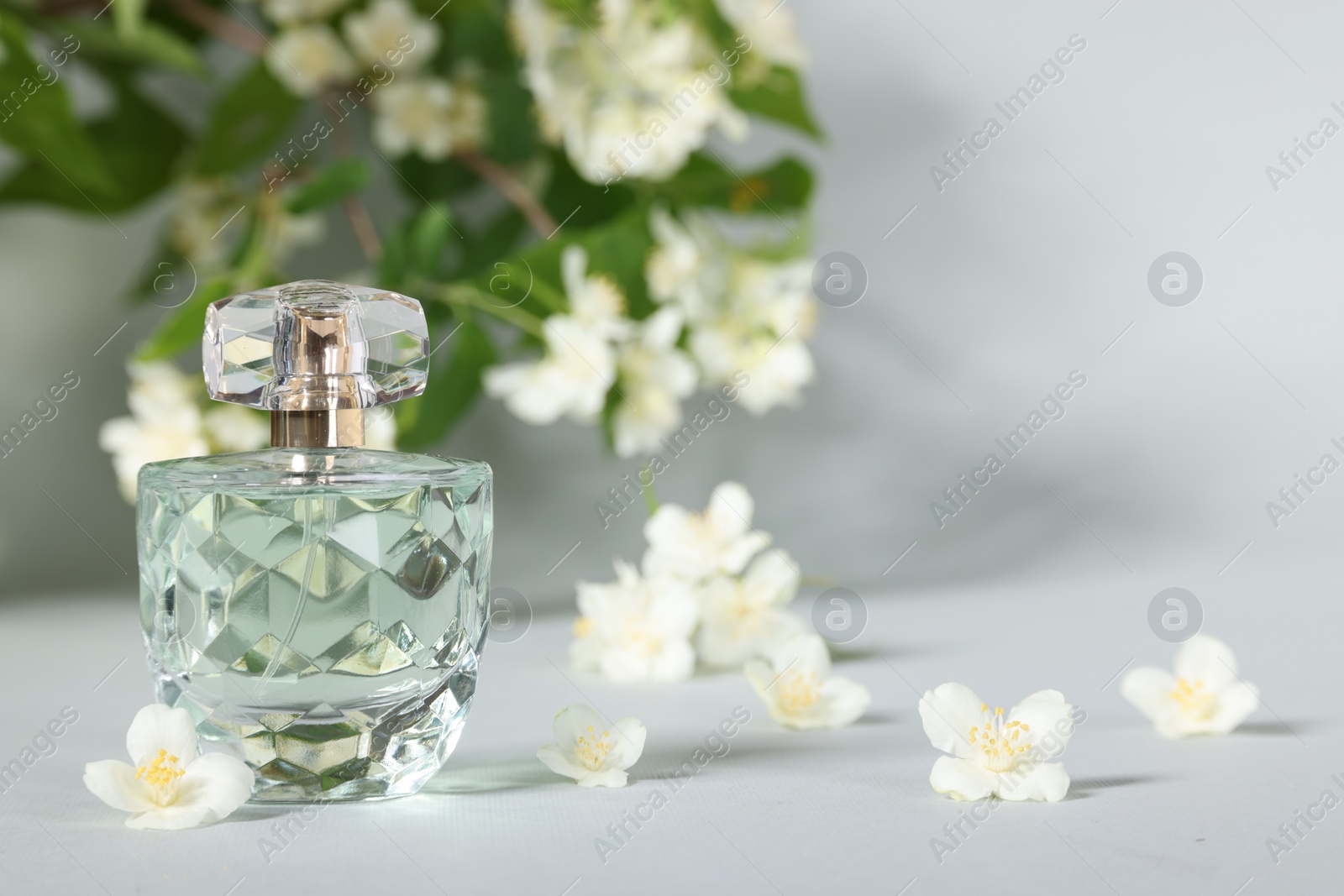 Photo of Aromatic perfume in bottle and beautiful jasmine flowers on grey background, closeup. Space for text