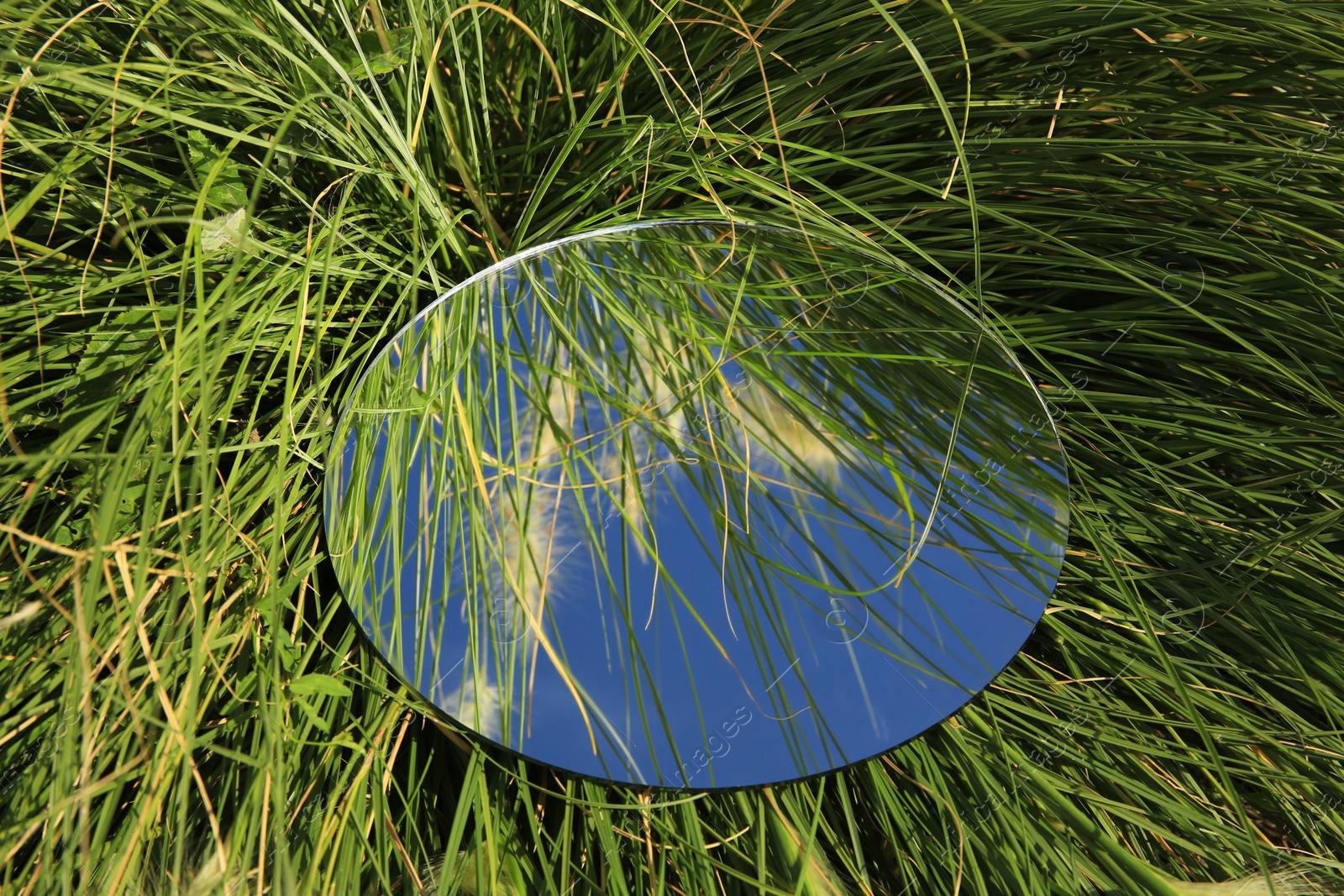 Photo of Round mirror reflecting sky, grass and spikelets outdoors, closeup