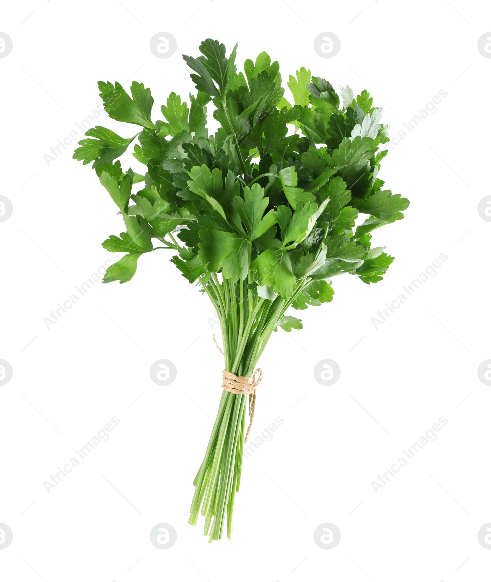 Photo of Bunch of fresh green parsley isolated on white