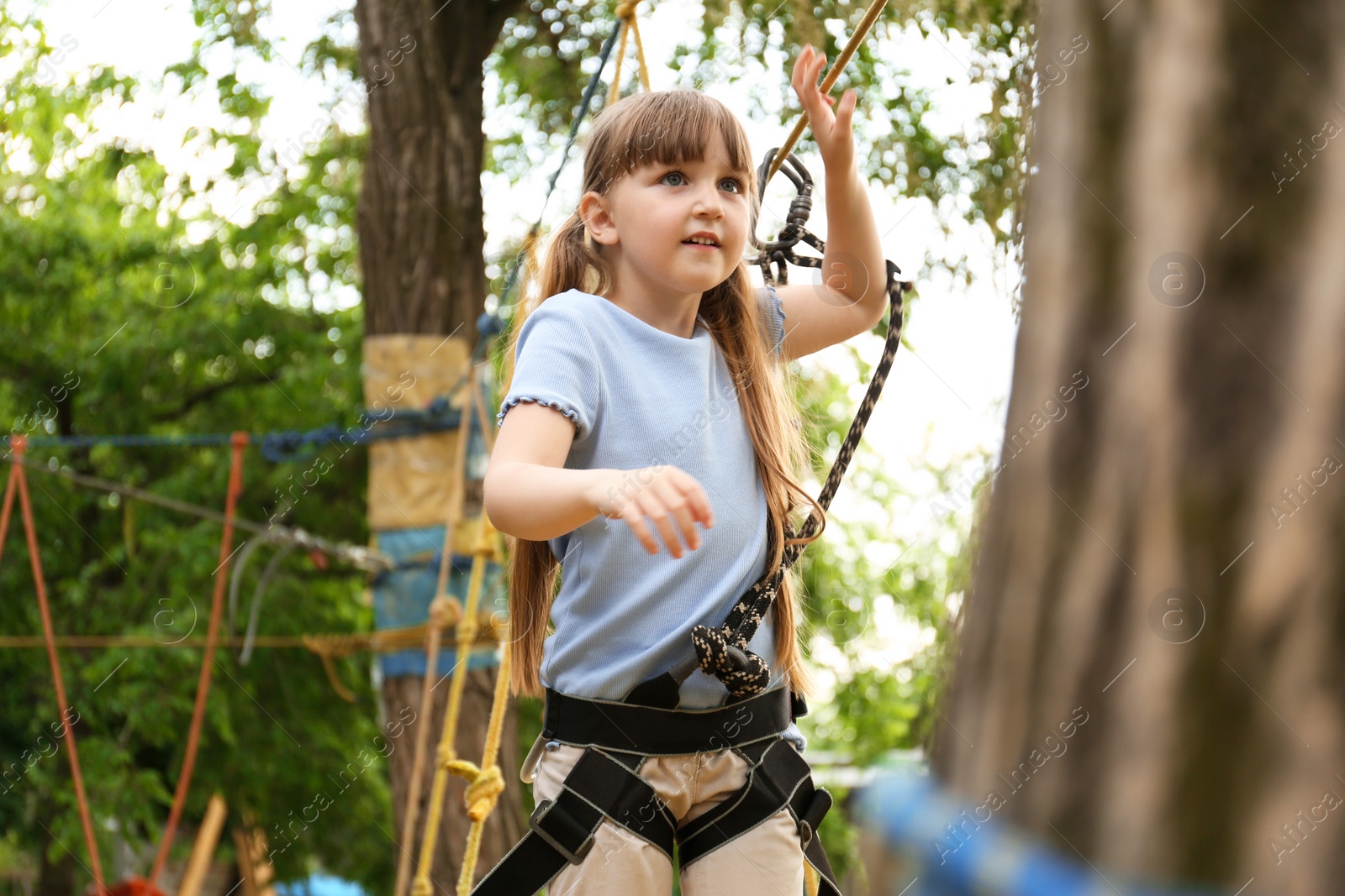 Photo of Little girl climbing in adventure park. Summer camp