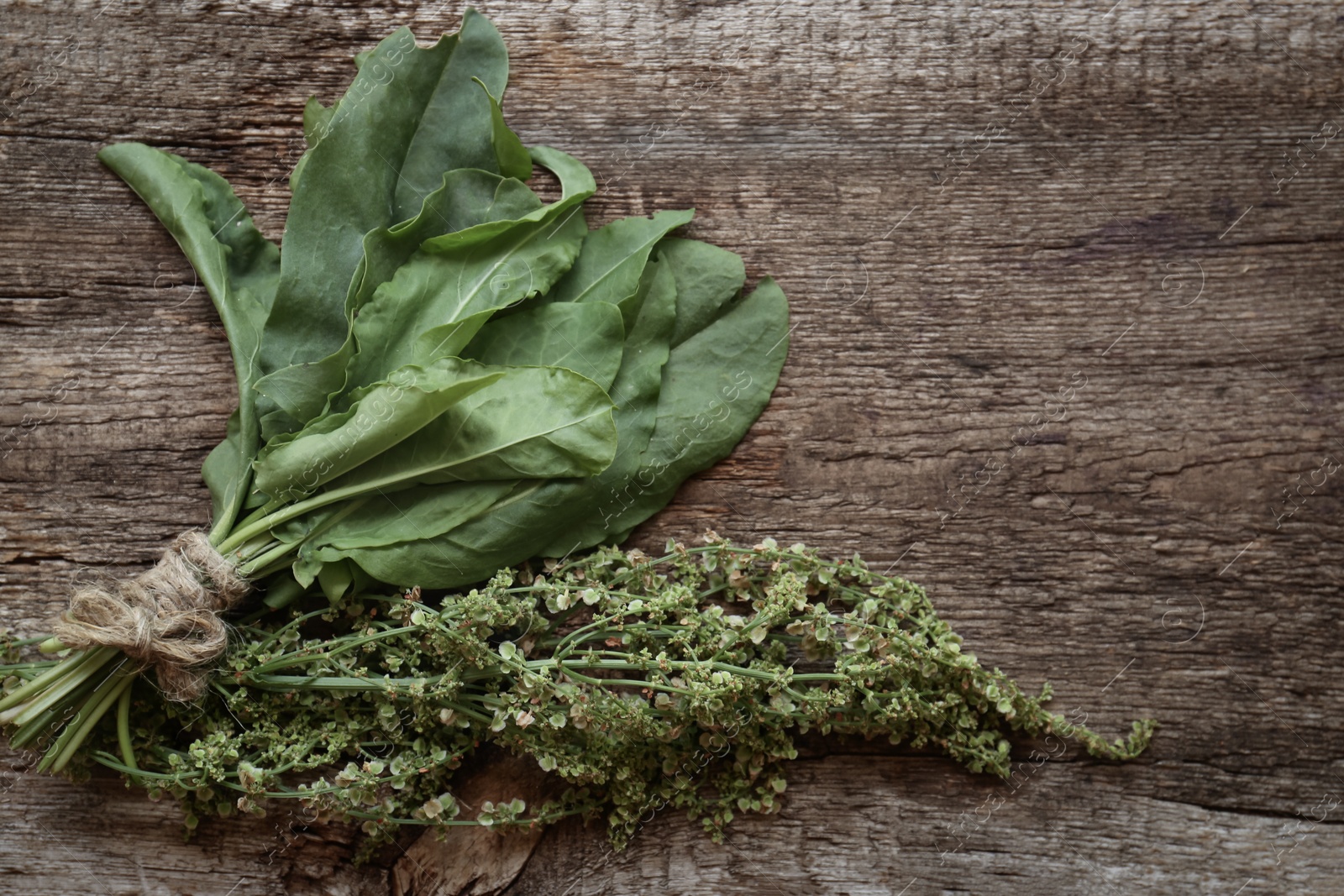 Photo of Bunch of sorrel on wooden table, flat lay. Space for text