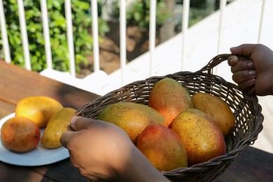 Woman with wicker basket of tasty mangoes at wooden table outdoors, closeup
