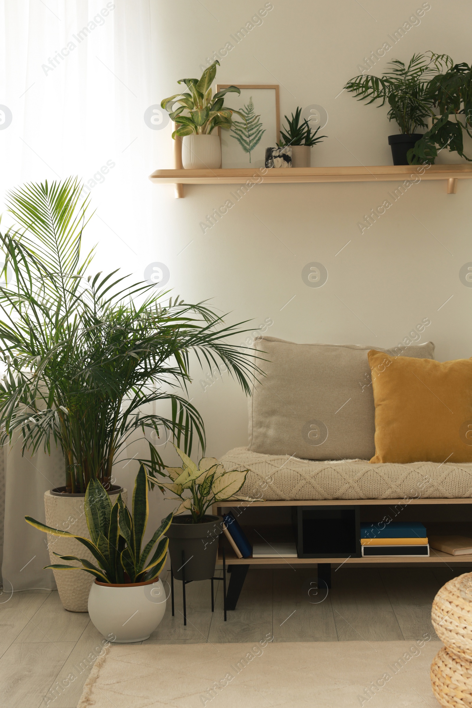 Photo of Stylish room interior with beautiful houseplants and comfortable bench