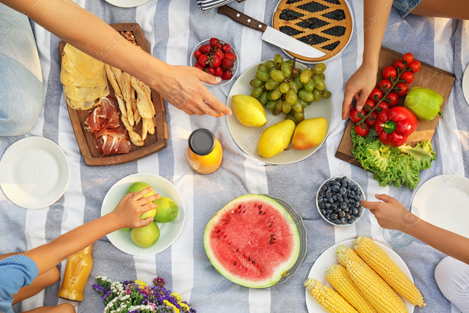 Photo of Family having picnic on blanket in park, top view