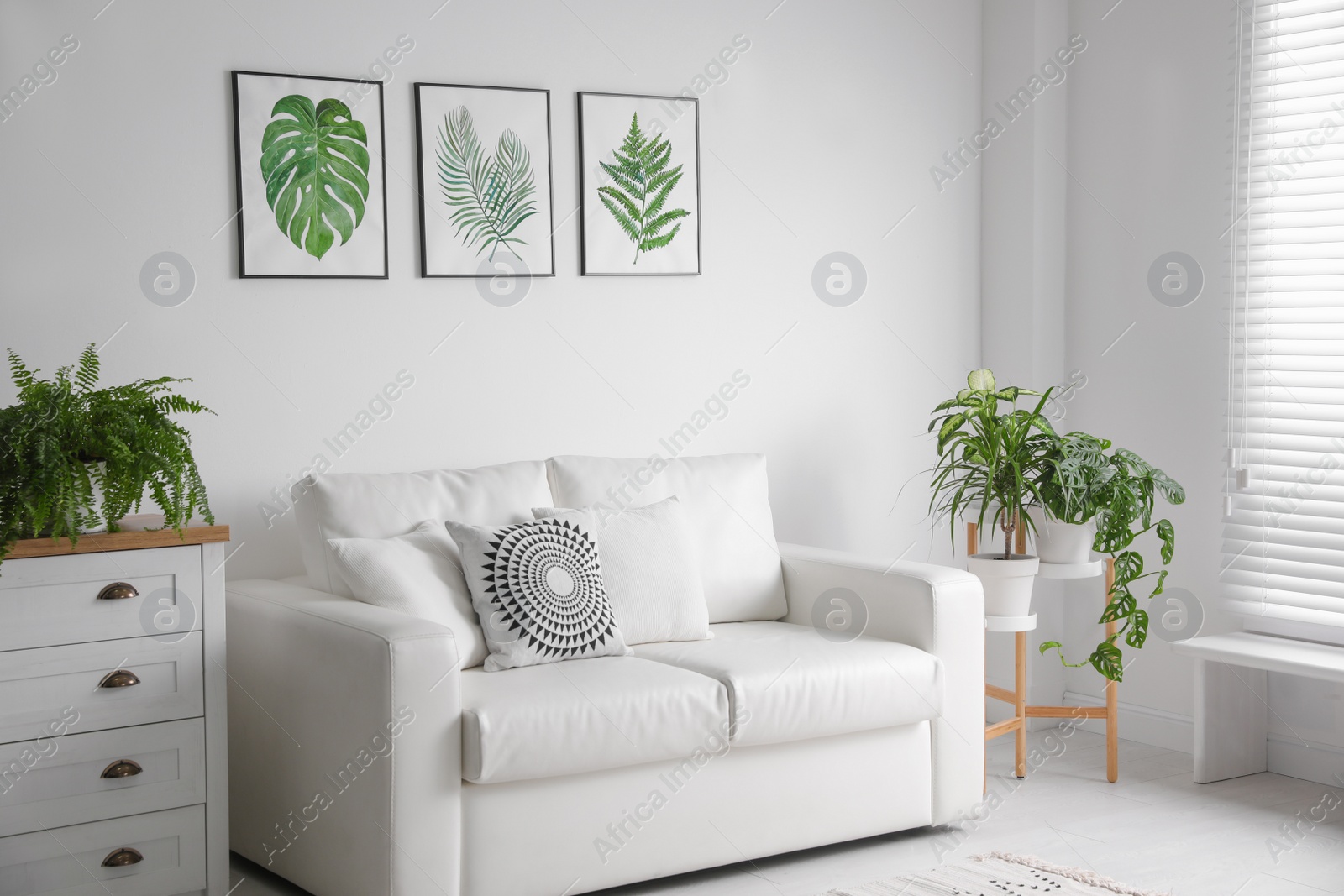 Photo of Beautiful paintings of tropical leaves over sofa in living room interior