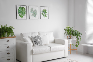 Beautiful paintings of tropical leaves over sofa in living room interior