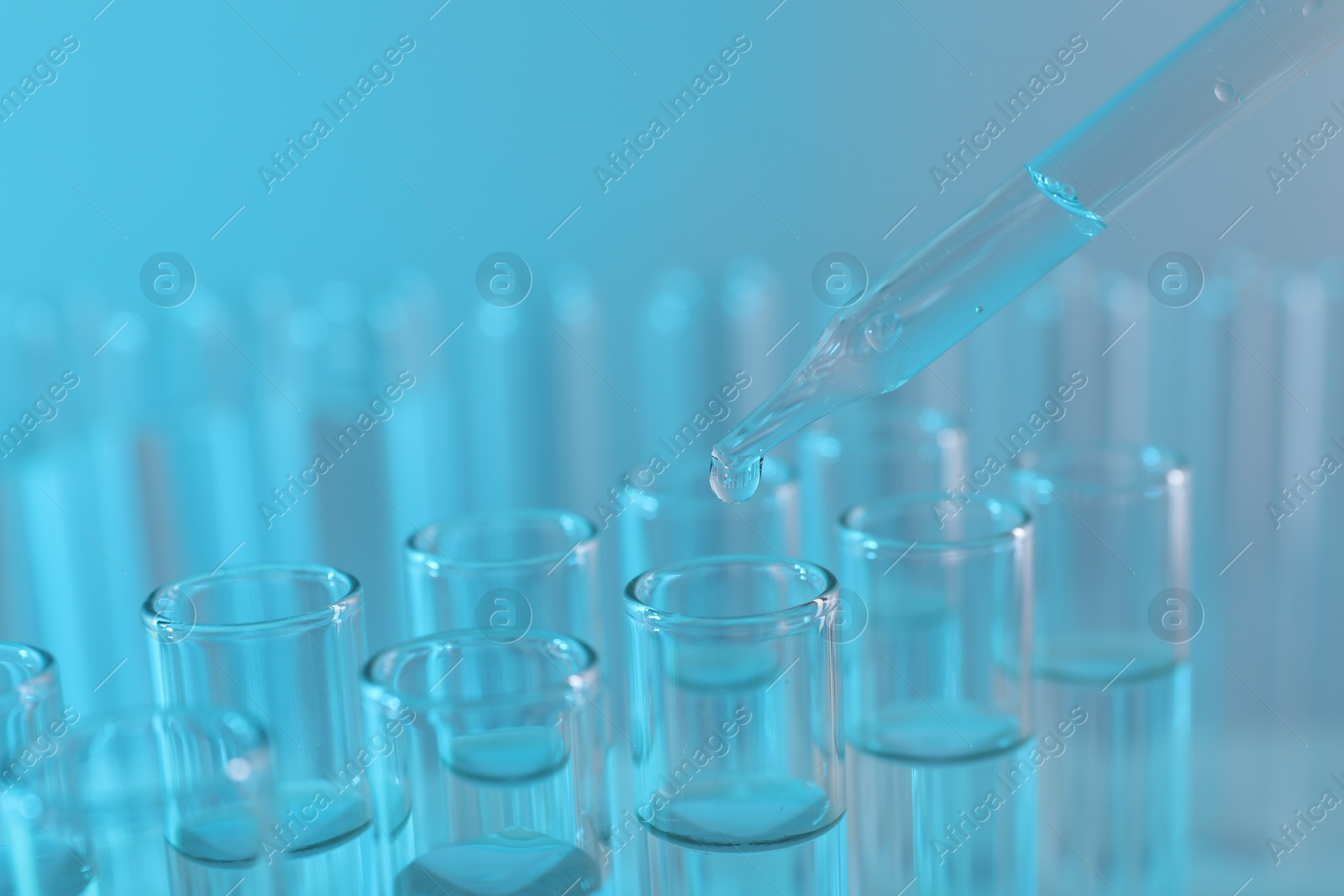 Photo of Laboratory analysis. Dripping liquid from pipette into glass test tube on light blue background, closeup