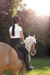 Photo of Young woman in equestrian suit riding horse outdoors on sunny day, back view. Beautiful pet