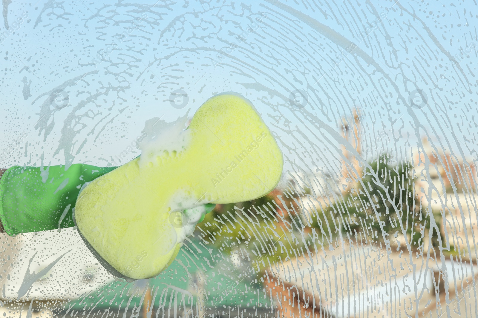 Photo of Person cleaning glass with sponge, view from inside