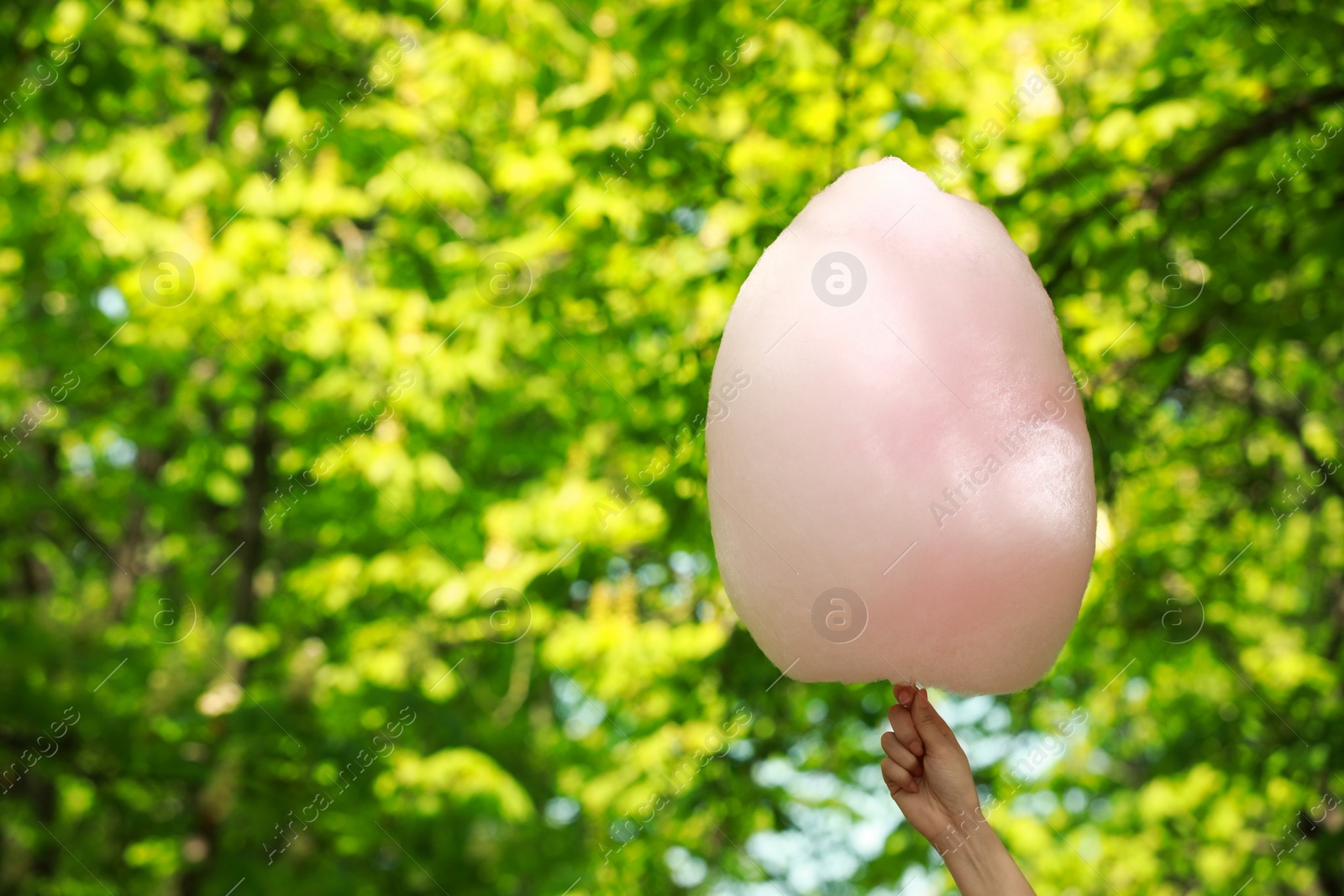 Photo of Woman holding sweet cotton candy outdoors, closeup. Space for text