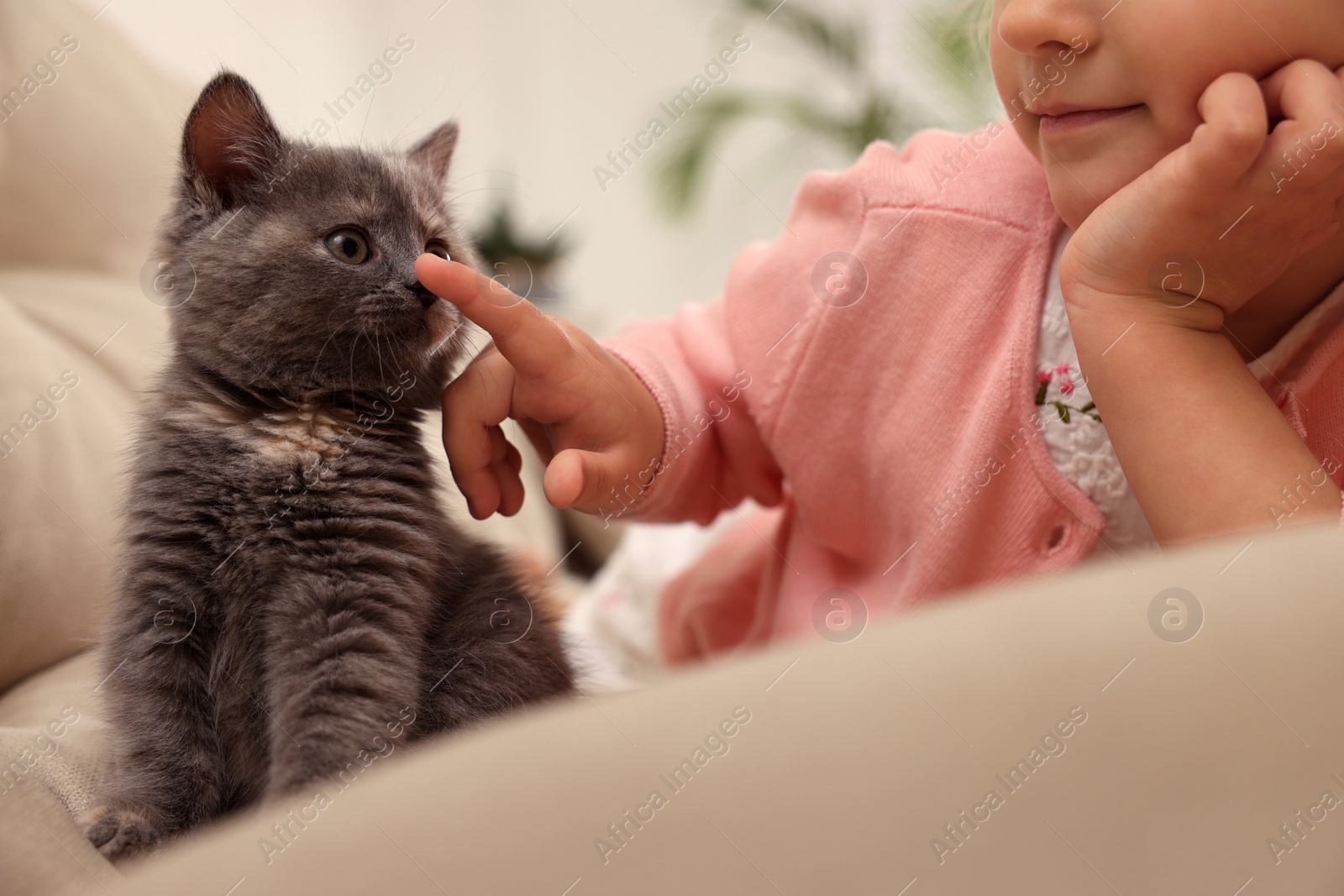 Photo of Cute little girl with kitten on sofa at home, closeup. Childhood pet