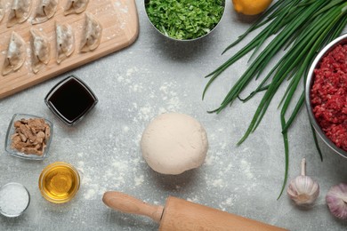 Photo of Flat lay composition with dough and other ingredients for gyoza on light grey table