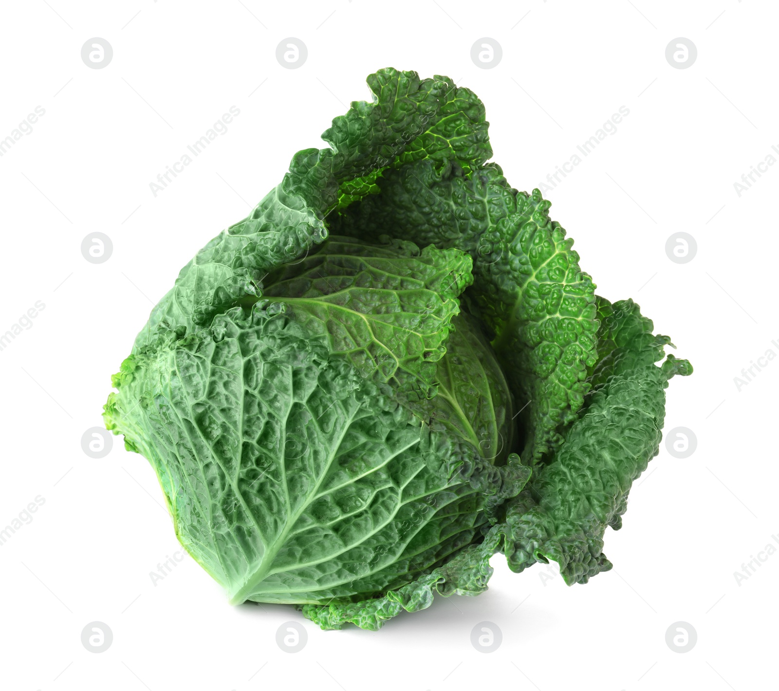 Photo of Fresh ripe savoy cabbage on white background