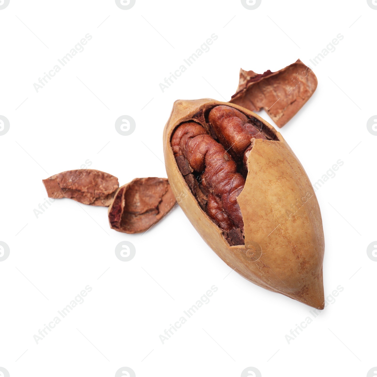 Photo of Tasty pecan nut with shell isolated on white, top view