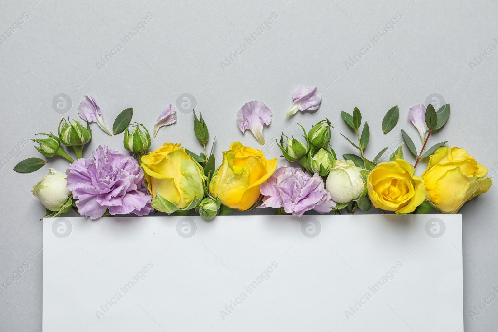 Photo of Flat lay composition with beautiful blooming flowers on grey background