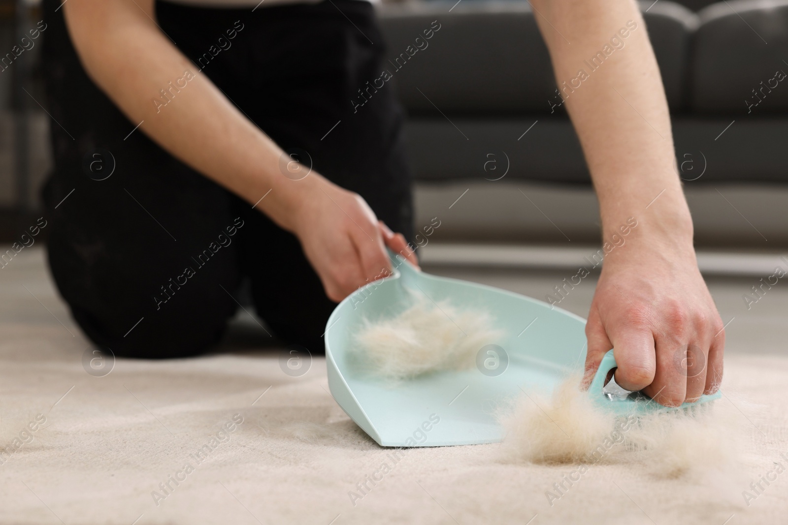 Photo of Man with brush and pan removing pet hair from carpet at home, closeup