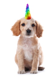 Image of Cute puppy with rainbow unicorn horn on white background