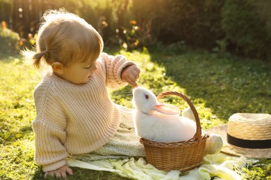 Photo of Cute little girl feeding adorable rabbit in wicker basket on green grass outdoors
