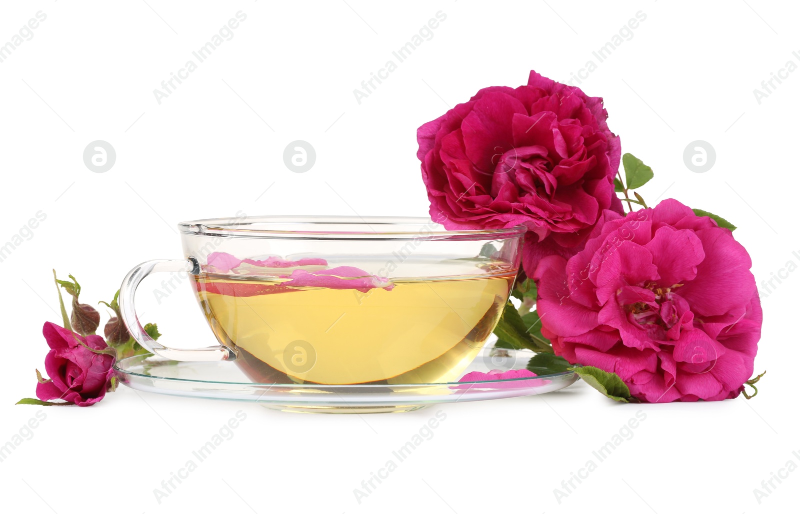 Photo of Aromatic herbal tea in glass cup and peonies isolated on white