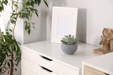 Succulent and decor elements on white chest of drawers in room