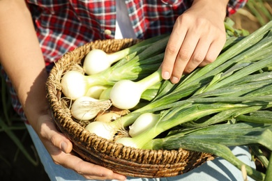 Photo of Woman holding wicker bowl with fresh green onions outdoors, closeup