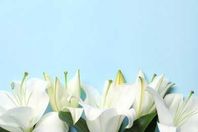 Photo of Beautiful white lily flowers on light blue background, flat lay. Space for text