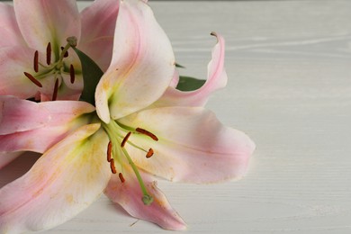 Photo of Beautiful pink lily flowers on white wooden table
