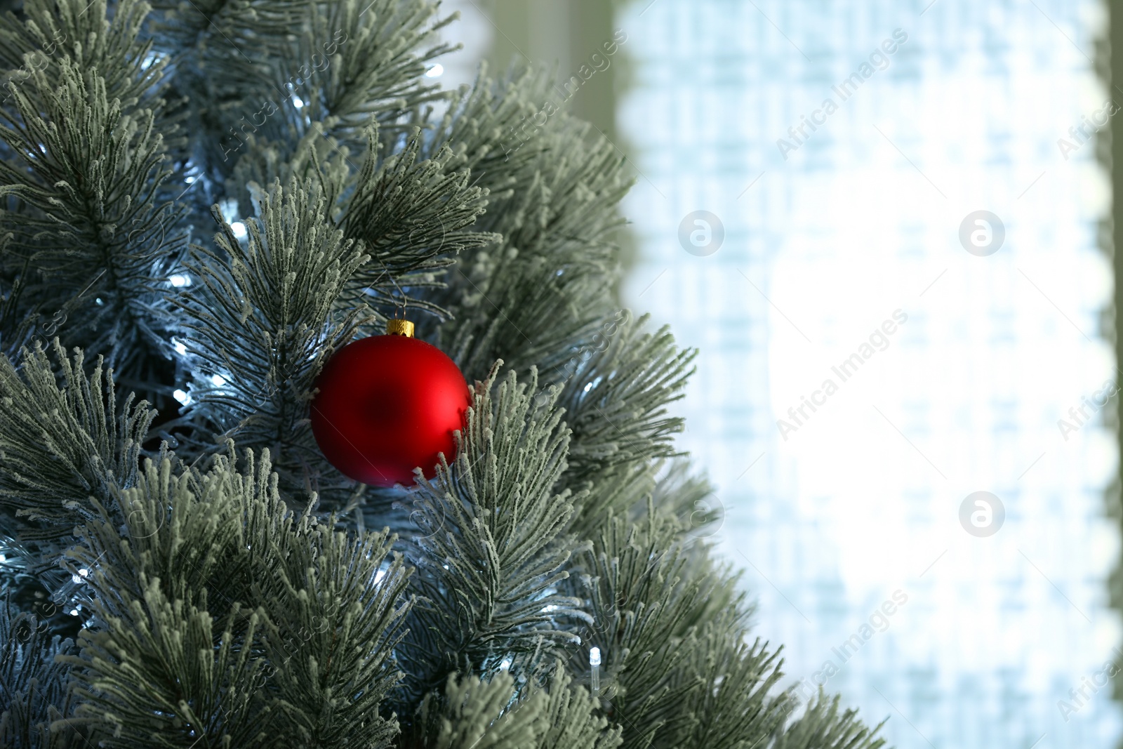 Photo of Beautiful Christmas tree decorated with festive lights and red ball, closeup. Space for text