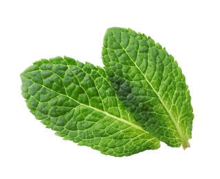 Green leaves of fresh aromatic mint isolated on white