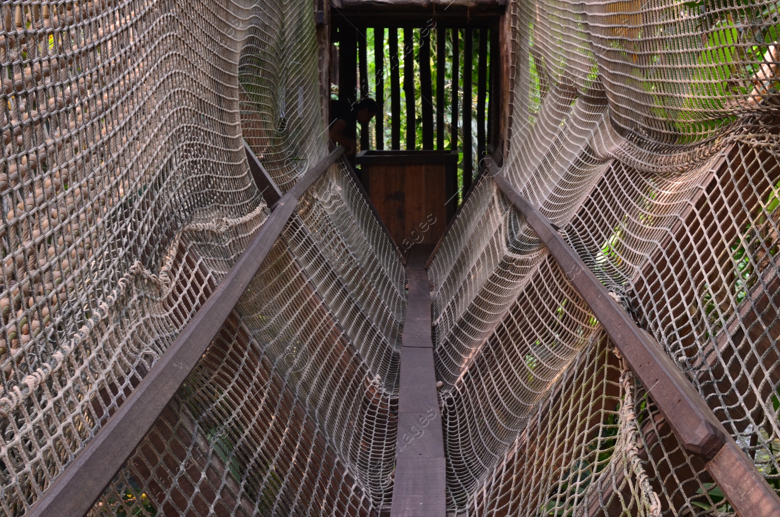 Photo of Beautiful wooden structure with rope bridge in greenhouse