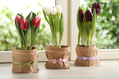 Photo of Beautiful tulips in wrapped pots on white wooden window sill. Spring flowers