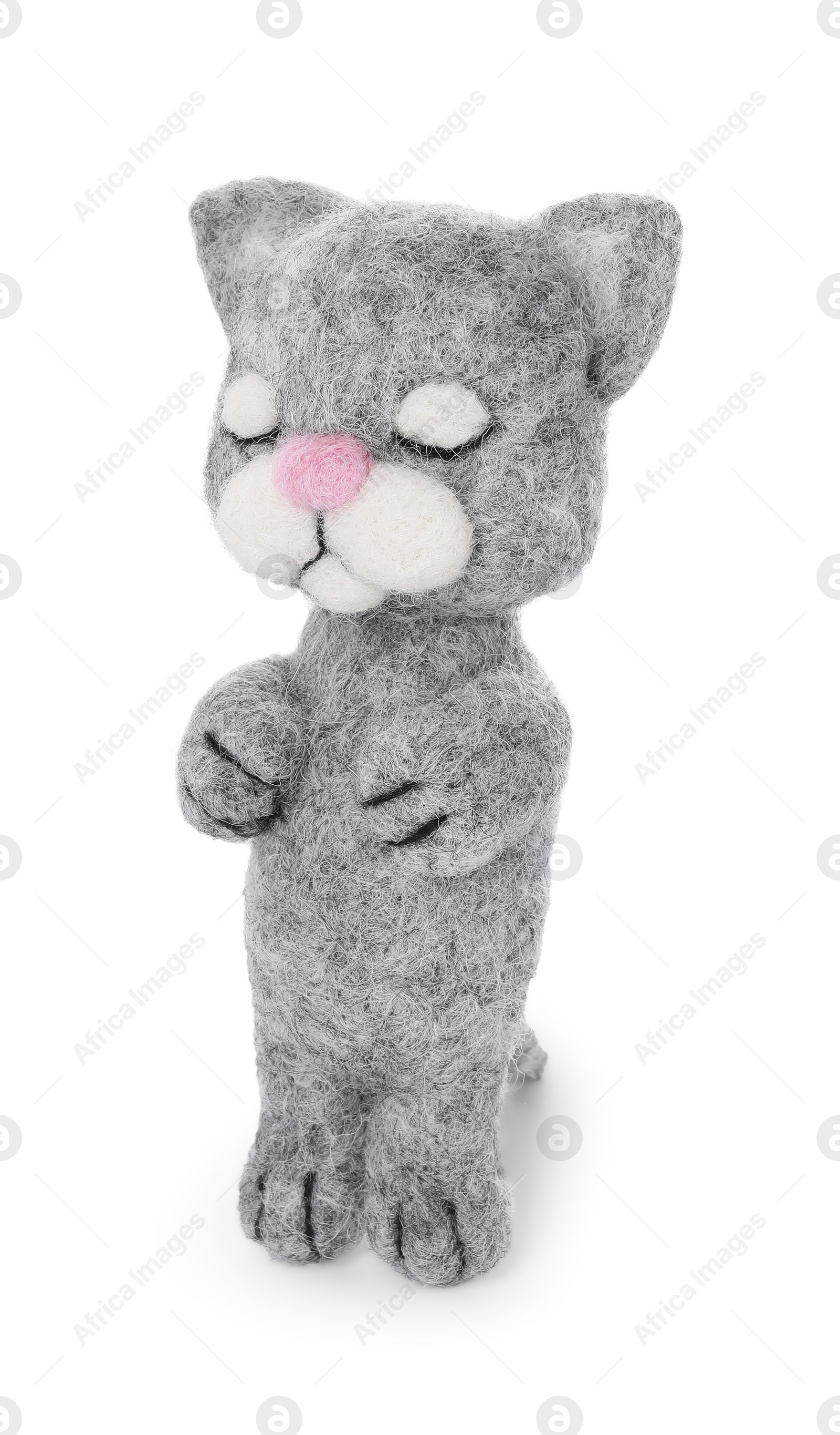 Photo of One needle felted cat isolated on white