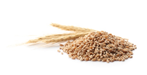 Photo of Wheat grains with spikelets on white background