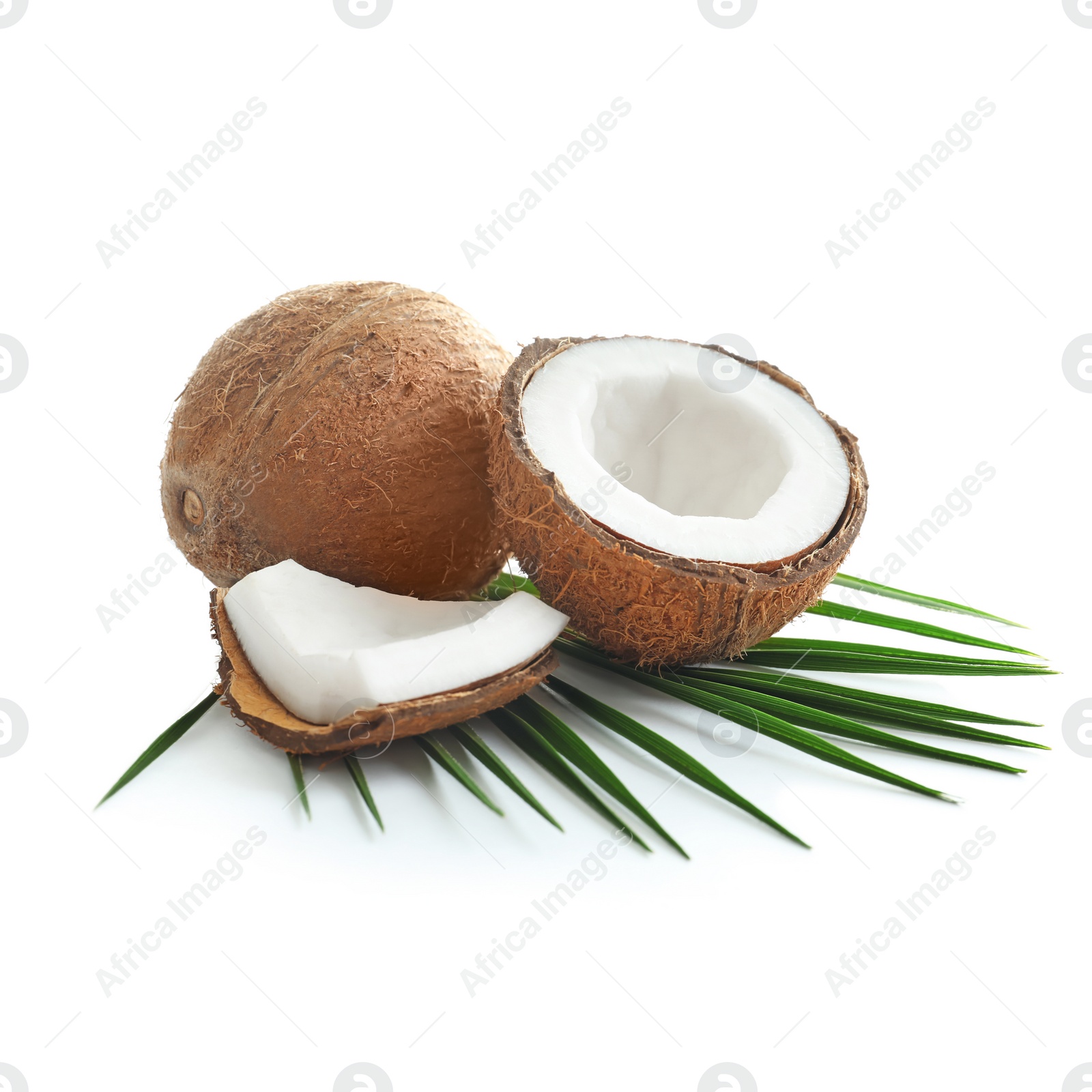 Photo of Ripe coconuts on white background