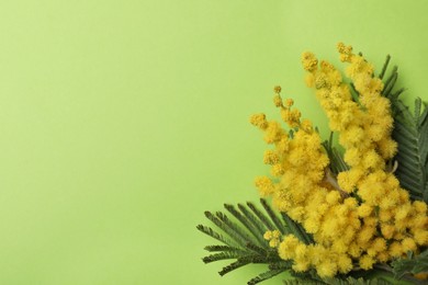 Photo of Beautiful mimosa flowers on green background, top view. Space for text