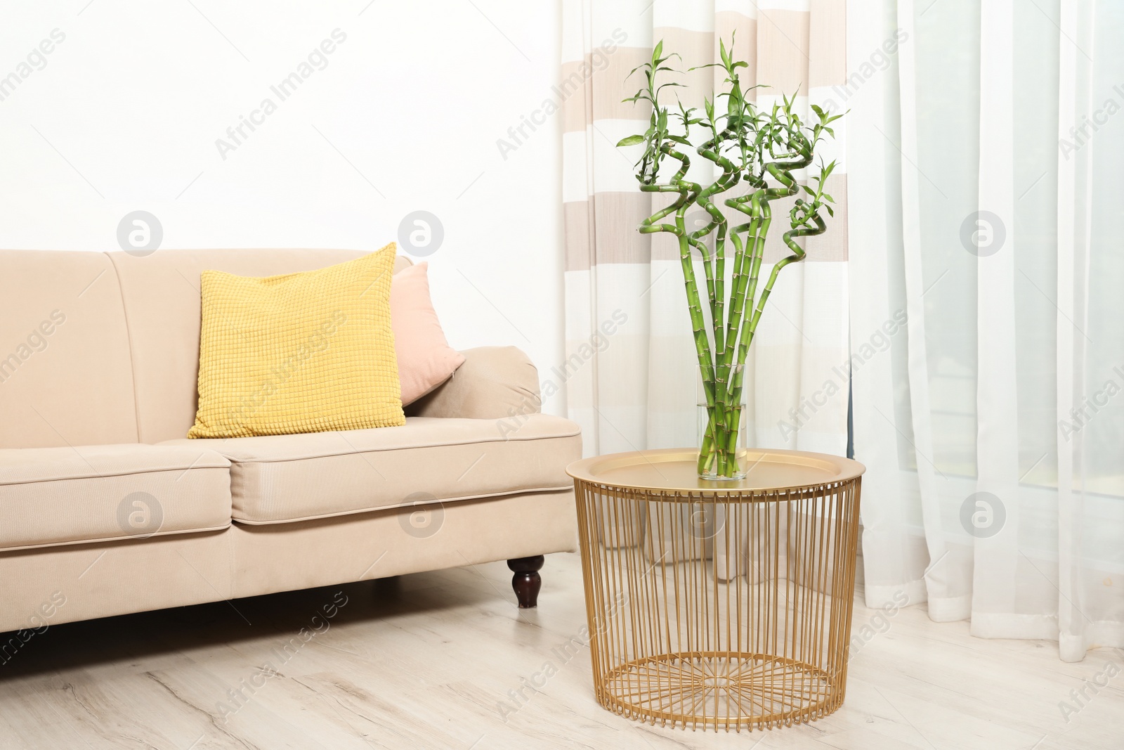 Photo of Modern living room interior with comfortable sofa and green bamboo on table