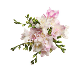 Photo of Bouquet of beautiful freesia flowers on white background