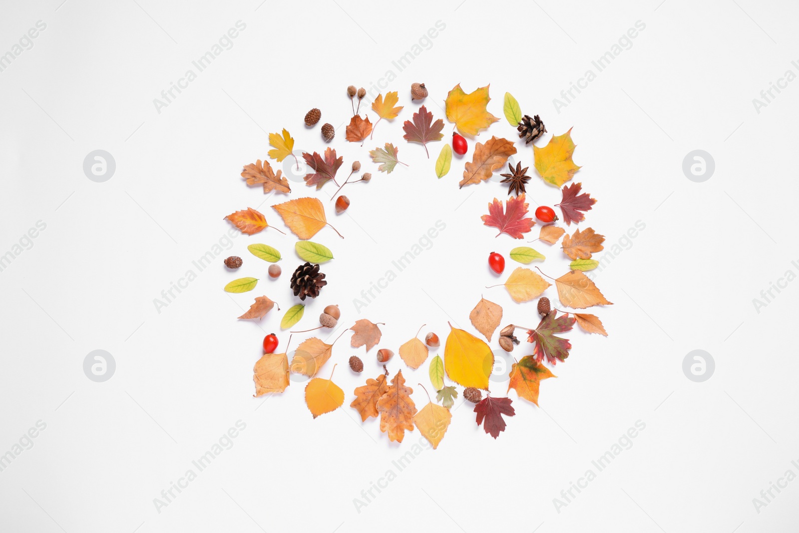 Photo of Frame made of autumn leaves on white background, top view. Space for text