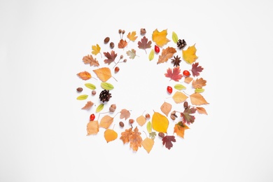 Frame made of autumn leaves on white background, top view. Space for text