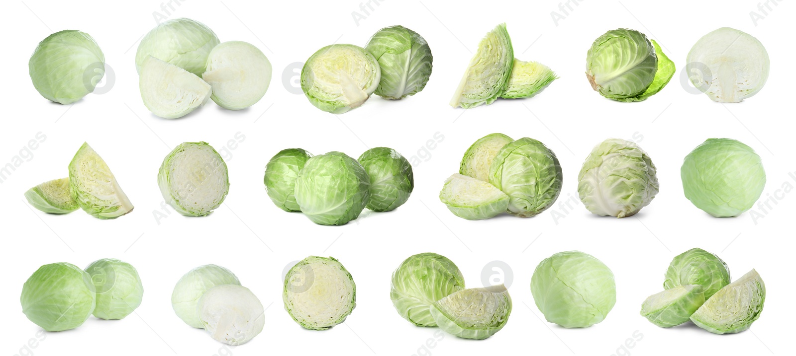 Image of Set of fresh ripe cabbages isolated on white background. Banner design