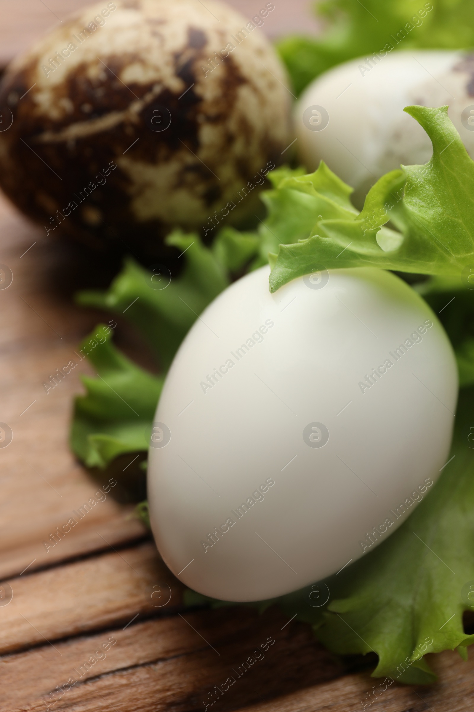 Photo of Unpeeled and peeled boiled quail eggs with lettuce on wooden table, closeup